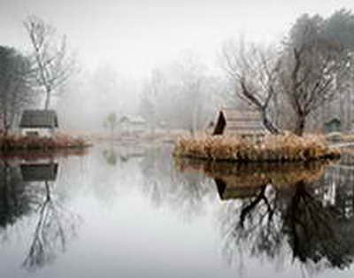 Мұнай емес, ми дәуірі: Қазақстанның басты заңы қалай өзгерді