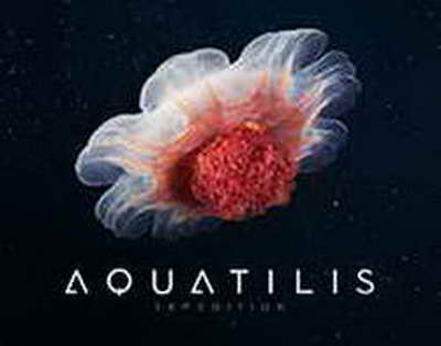 Шалқар көліндегі мұз шоуы 500-ге жуық көрерменді жинады