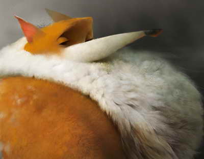 Bürclərə görə pulu çəkən rənglər