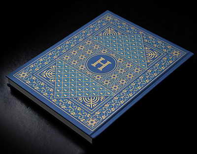 «Байдың балалары полицияның бетіне келіп түкіреді»: белгілі заңгер ішкі істер саласындағы былықтың бетін ашты