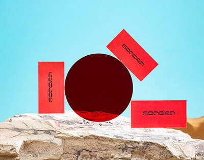 Rossiyada tug‘ilish darajasi qiyinligicha qolmoqda – vazir